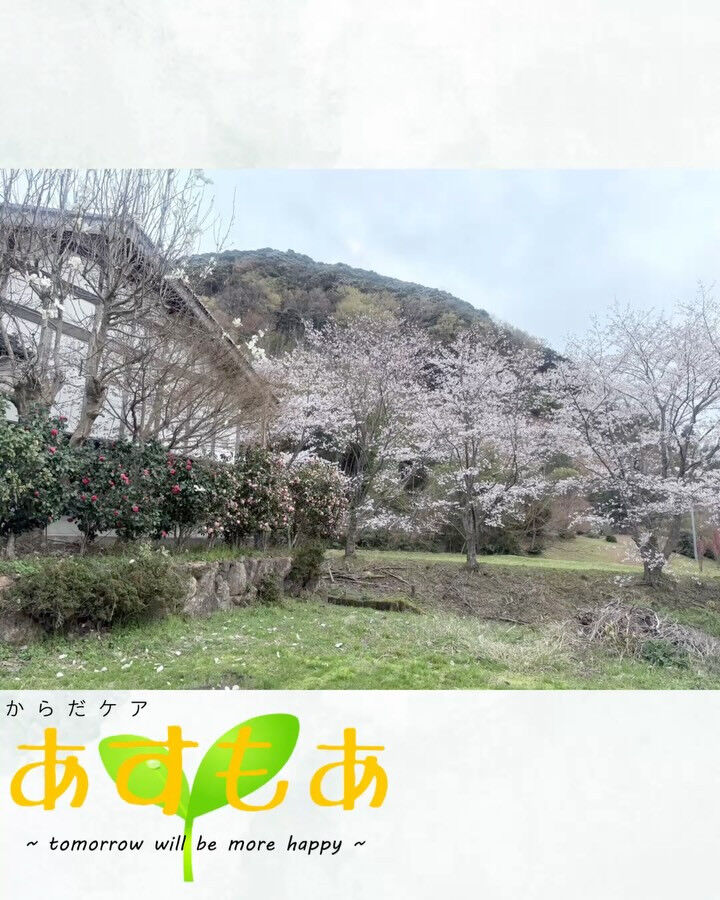 🌸【今だけ】桜を見ながら施術できます
